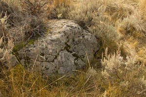 rock